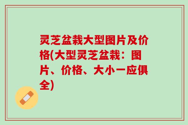 灵芝盆栽大型图片及价格(大型灵芝盆栽：图片、价格、大小一应俱全)