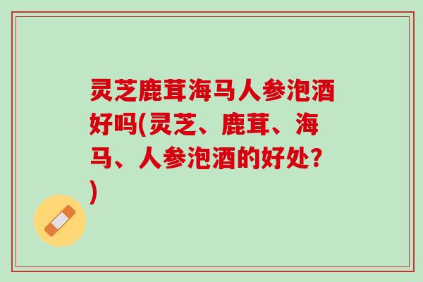 灵芝鹿茸海马人参泡酒好吗(灵芝、鹿茸、海马、人参泡酒的好处？)