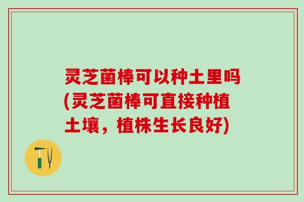 灵芝菌棒可以种土里吗(灵芝菌棒可直接种植土壤，植株生长良好)