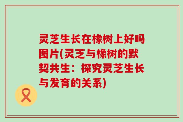 灵芝生长在橡树上好吗图片(灵芝与橡树的默契共生：探究灵芝生长与发育的关系)