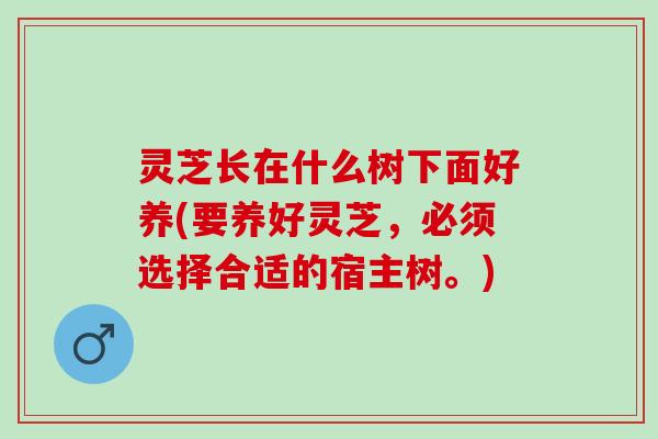 灵芝长在什么树下面好养(要养好灵芝，必须选择合适的宿主树。)