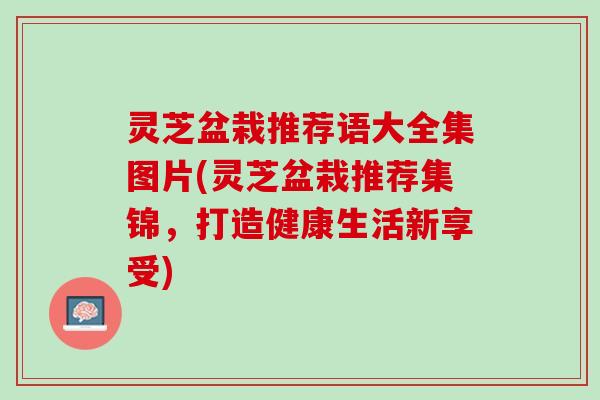 灵芝盆栽推荐语大全集图片(灵芝盆栽推荐集锦，打造健康生活新享受)