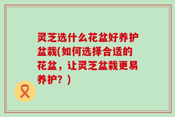灵芝选什么花盆好养护盆栽(如何选择合适的花盆，让灵芝盆栽更易养护？)