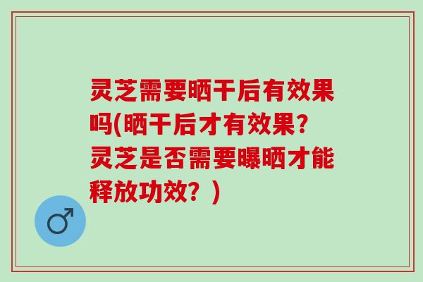 灵芝需要晒干后有效果吗(晒干后才有效果？灵芝是否需要曝晒才能释放功效？)