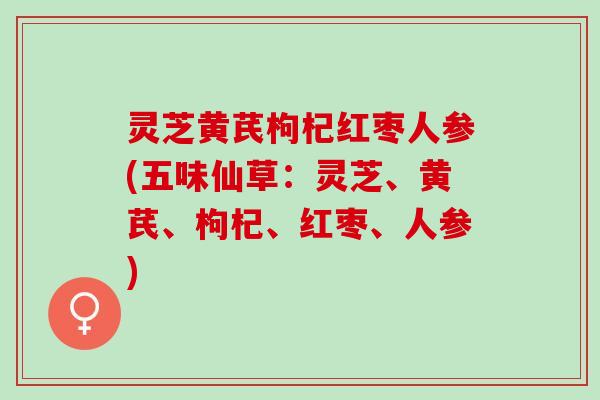 灵芝黄芪枸杞红枣人参(五味仙草：灵芝、黄芪、枸杞、红枣、人参)