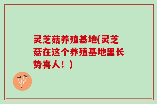 灵芝菇养殖基地(灵芝菇在这个养殖基地里长势喜人！)