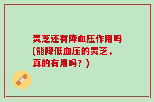 灵芝还有降血压作用吗(能降低血压的灵芝，真的有用吗？)