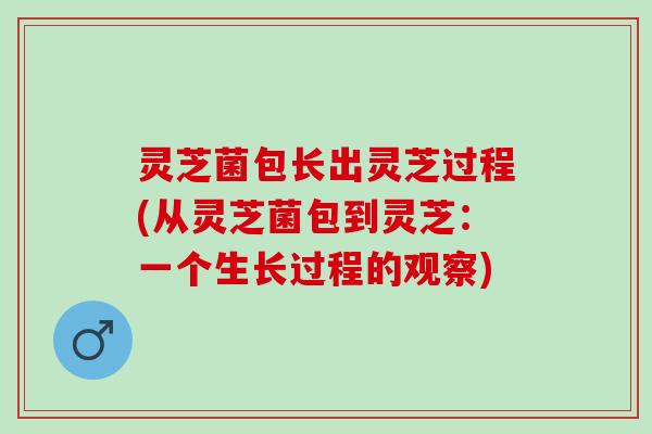 灵芝菌包长出灵芝过程(从灵芝菌包到灵芝：一个生长过程的观察)