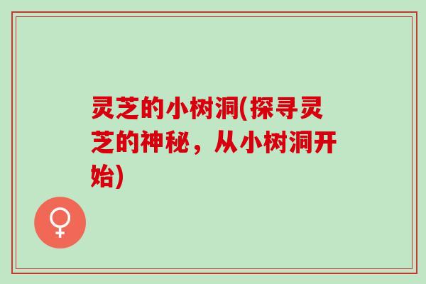 灵芝的小树洞(探寻灵芝的神秘，从小树洞开始)