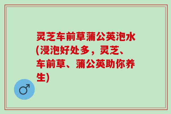 灵芝车前草蒲公英泡水(浸泡好处多，灵芝、车前草、蒲公英助你养生)