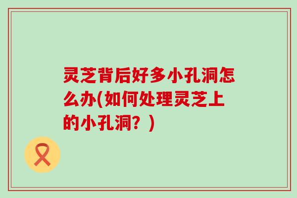 灵芝背后好多小孔洞怎么办(如何处理灵芝上的小孔洞？)