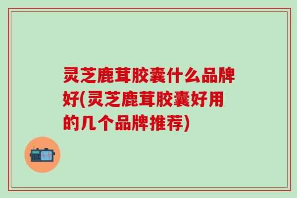 灵芝鹿茸胶囊什么品牌好(灵芝鹿茸胶囊好用的几个品牌推荐)