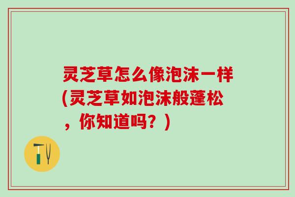 灵芝草怎么像泡沫一样(灵芝草如泡沫般蓬松，你知道吗？)