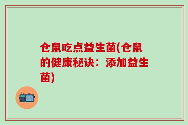 仓鼠吃点益生菌(仓鼠的健康秘诀：添加益生菌)