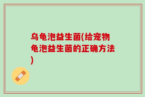 乌龟泡益生菌(给宠物龟泡益生菌的正确方法)