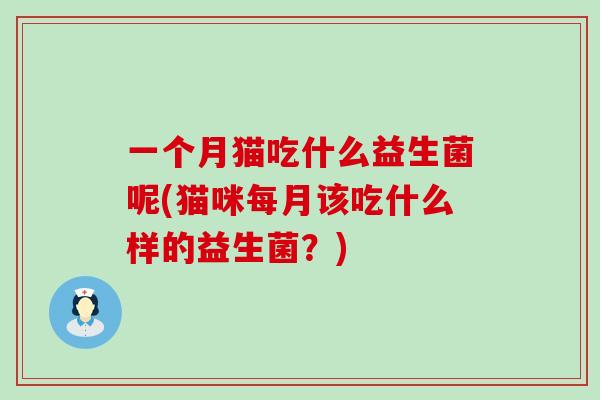 一个月猫吃什么益生菌呢(猫咪每月该吃什么样的益生菌？)
