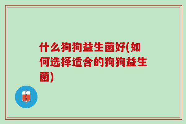 什么狗狗益生菌好(如何选择适合的狗狗益生菌)