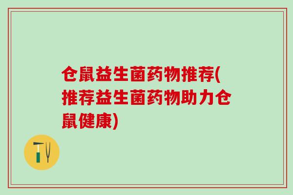 仓鼠益生菌药物推荐(推荐益生菌药物助力仓鼠健康)