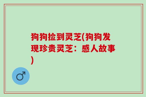 狗狗捡到灵芝(狗狗发现珍贵灵芝：感人故事)