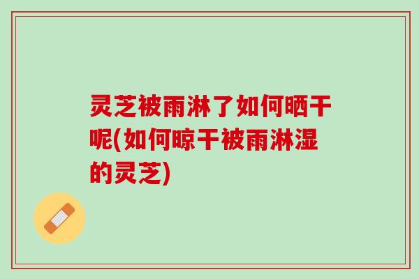 灵芝被雨淋了如何晒干呢(如何晾干被雨淋湿的灵芝)