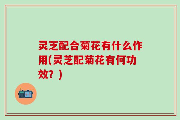 灵芝配合菊花有什么作用(灵芝配菊花有何功效？)
