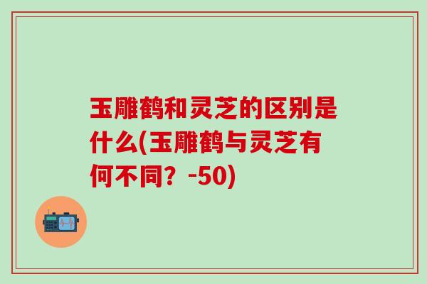 玉雕鹤和灵芝的区别是什么(玉雕鹤与灵芝有何不同？-50)