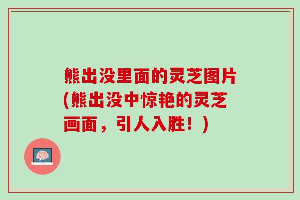 熊出没里面的灵芝图片(熊出没中惊艳的灵芝画面，引人入胜！)