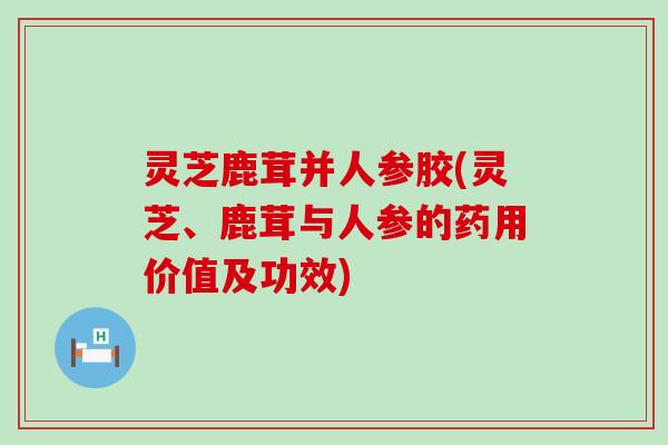 灵芝鹿茸并人参胶(灵芝、鹿茸与人参的药用价值及功效)