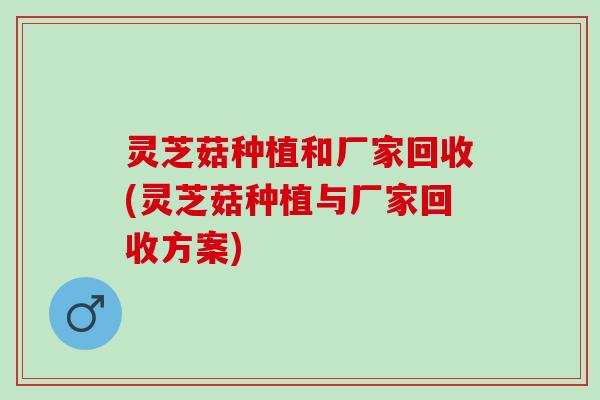 灵芝菇种植和厂家回收(灵芝菇种植与厂家回收方案)