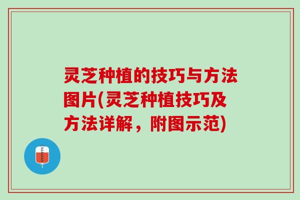 灵芝种植的技巧与方法图片(灵芝种植技巧及方法详解,附图示范) 灵芝种植的技巧与方法图片(灵芝种植技巧及方法详解,附图示范)