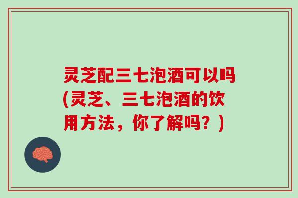 灵芝配三七泡酒可以吗(灵芝、三七泡酒的饮用方法，你了解吗？)