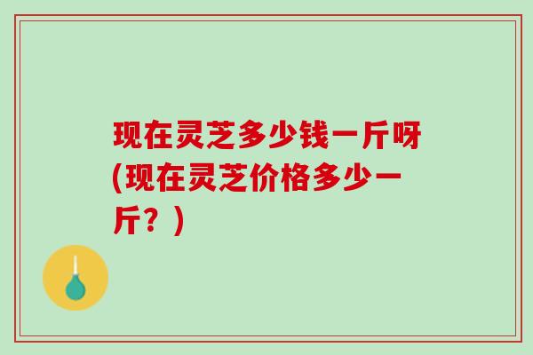 现在灵芝多少钱一斤呀(现在灵芝价格多少一斤？)