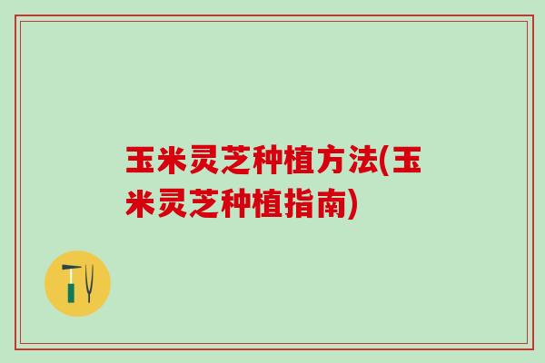玉米灵芝种植方法(玉米灵芝种植指南)