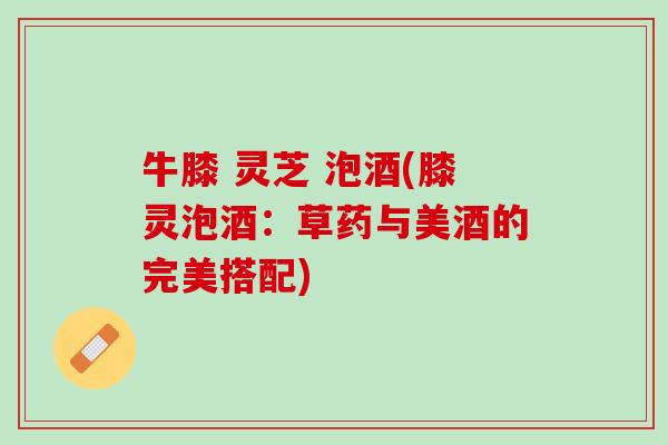 牛膝 灵芝 泡酒(膝灵泡酒：草药与美酒的完美搭配)