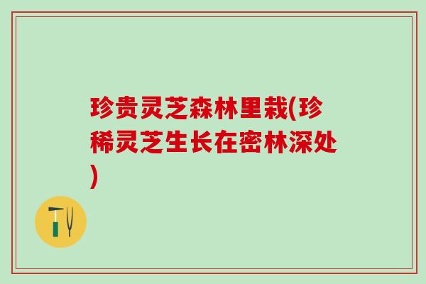 珍贵灵芝森林里栽(珍稀灵芝生长在密林深处)