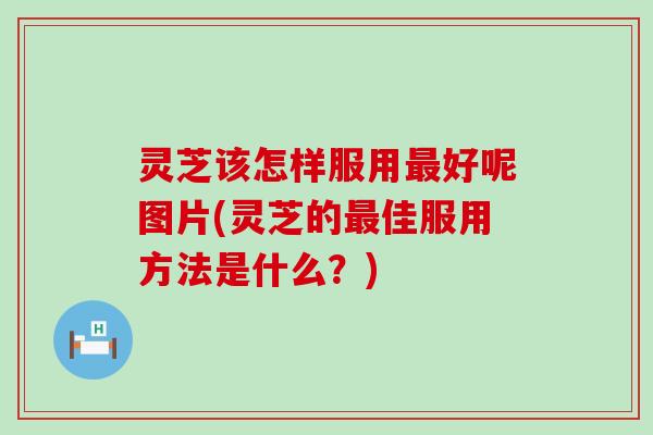 灵芝该怎样服用最好呢图片(灵芝的最佳服用方法是什么？)