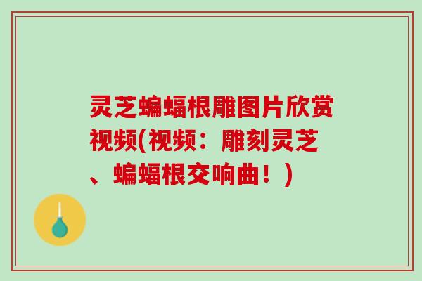 灵芝蝙蝠根雕图片欣赏视频(视频：雕刻灵芝、蝙蝠根交响曲！)