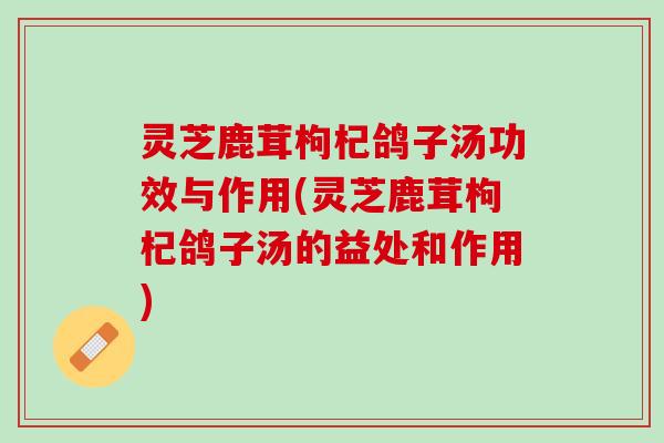 灵芝鹿茸枸杞鸽子汤功效与作用(灵芝鹿茸枸杞鸽子汤的益处和作用)