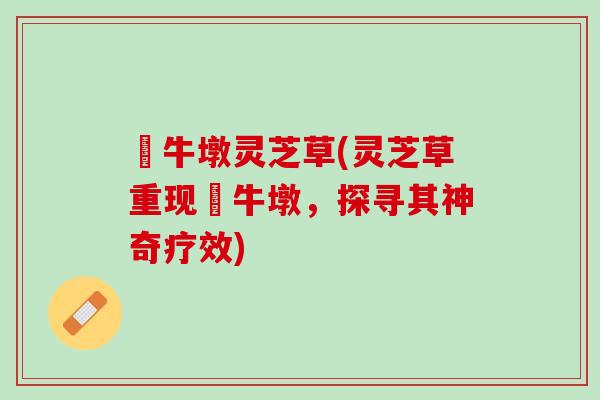 牤牛墩灵芝草(灵芝草重现牤牛墩，探寻其神奇疗效)