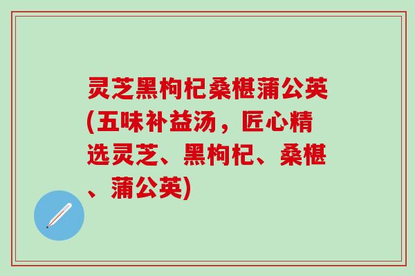 灵芝黑枸杞桑椹蒲公英(五味补益汤，匠心精选灵芝、黑枸杞、桑椹、蒲公英)