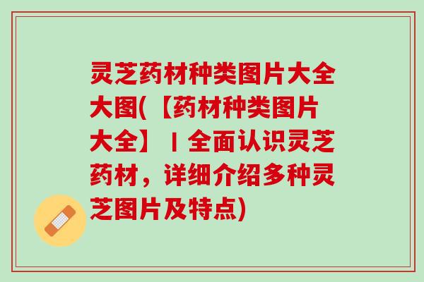 灵芝药材种类图片大全大图(【药材种类图片大全】丨全面认识灵芝药材，详细介绍多种灵芝图片及特点)