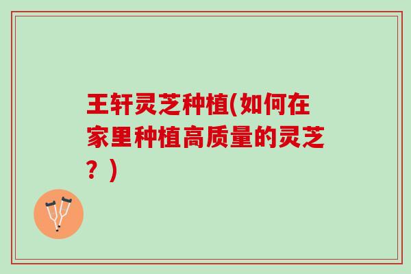 王轩灵芝种植(如何在家里种植高质量的灵芝？)