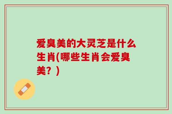 爱臭美的大灵芝是什么生肖(哪些生肖会爱臭美？)