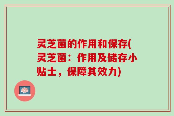灵芝菌的作用和保存(灵芝菌：作用及储存小贴士，保障其效力)