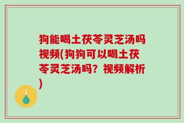 狗能喝土茯苓灵芝汤吗视频(狗狗可以喝土茯苓灵芝汤吗？视频解析)
