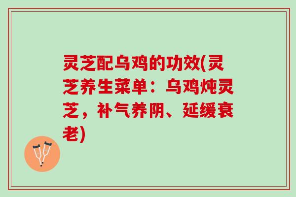 灵芝配乌鸡的功效(灵芝养生菜单：乌鸡炖灵芝，补气养阴、延缓衰老)