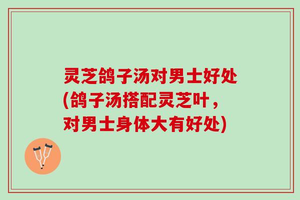 灵芝鸽子汤对男士好处(鸽子汤搭配灵芝叶，对男士身体大有好处)