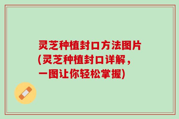 灵芝种植封口方法图片(灵芝种植封口详解,一图让你轻松掌握) 灵芝种植封口方法图片(灵芝种植封口详解,一图让你轻松掌握)