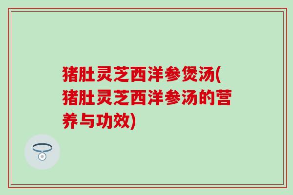 猪肚灵芝西洋参煲汤(猪肚灵芝西洋参汤的营养与功效)