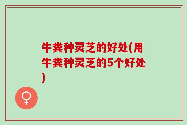 牛粪种灵芝的好处(用牛粪种灵芝的5个好处)